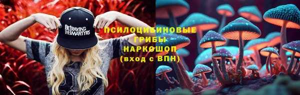 мет Арсеньев